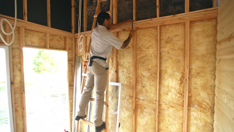 Best Eco-Friendly or Green Insulation Solutions  in Galveston, TX